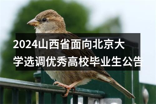 2024山西省面向北京大学选调优秀高校毕业生公告 图片