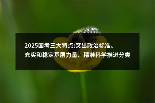 2025国考三大特点:突出政治标准、充实和稳定基层力量、精准科学推进分类分级考试 图片