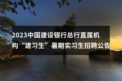 2023中国建设银行总行直属机构“建习生”暑期实习生招聘公告 图片