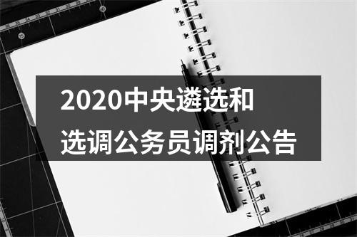 2020中央遴选和选调公务员调剂公告 图片