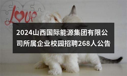 2024山西国际能源集团有限公司所属企业校园招聘268人公告 图片