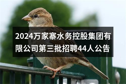 2024万家寨水务控股集团有限公司第三批招聘44人公告 图片