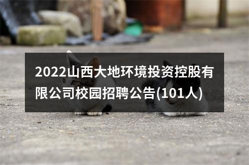 2022山西大地环境投资控股有限公司校园招聘公告(101人) 图片