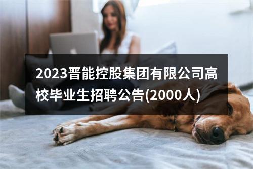 2023晋能控股集团有限公司高校毕业生招聘公告(2000人) 图片